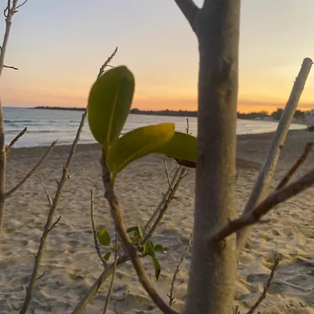 Il Rifugio In Borgata